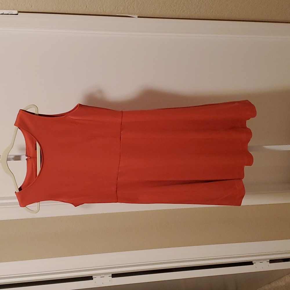 5. 212 Collection salmon colored fit and flair